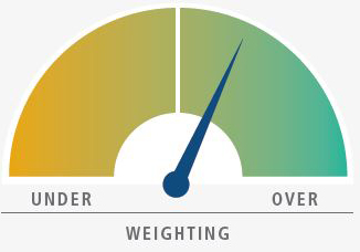 The diagram shows a semi-circle dial representing overall risk, with a moderate overweight overall, with an arrow right of center, in what would be the equivalent of 1:00 on a clockface. 